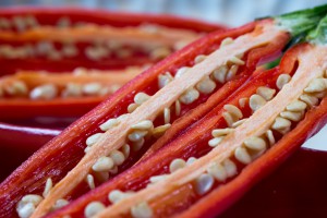 Chilli Red Large